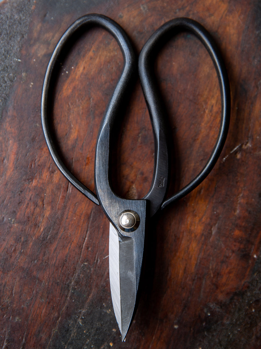 Japanese Steel Scissors