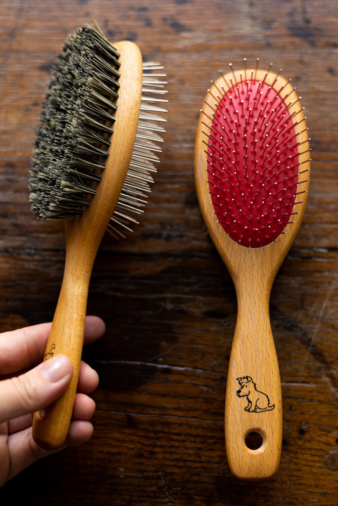 Pet Brush