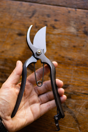 Traditional Japanese Pruner