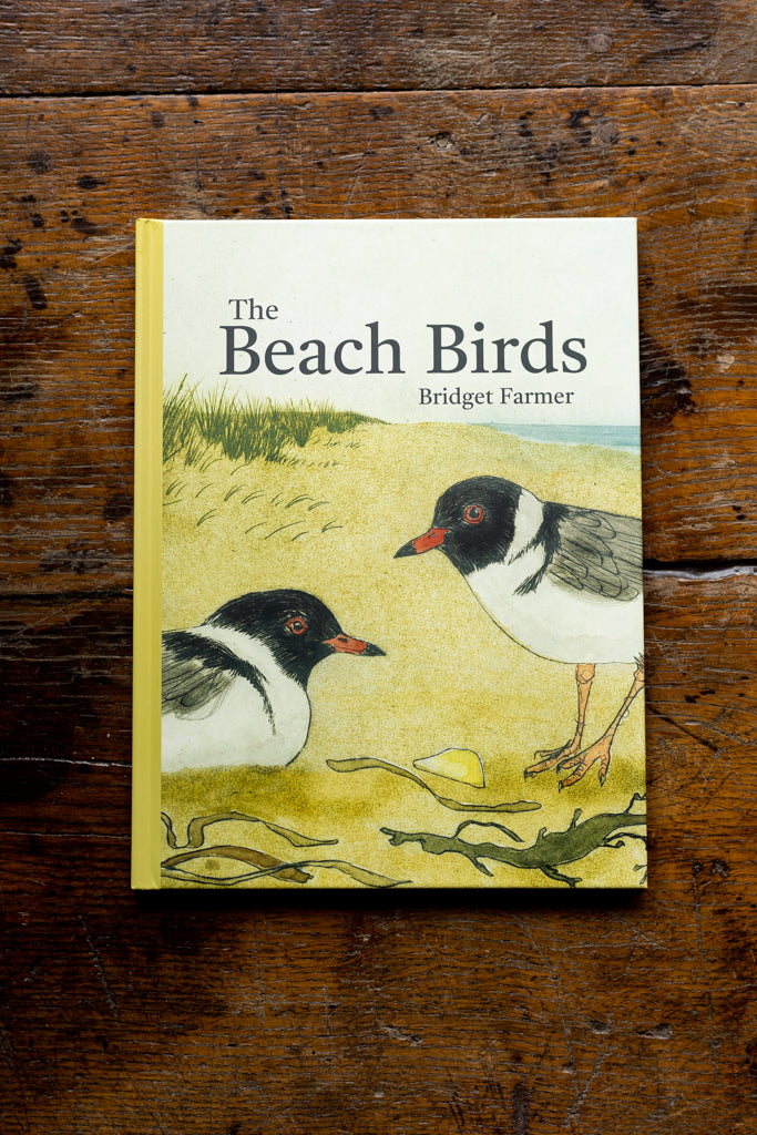 Bridget Farmer - The Beach Birds Book