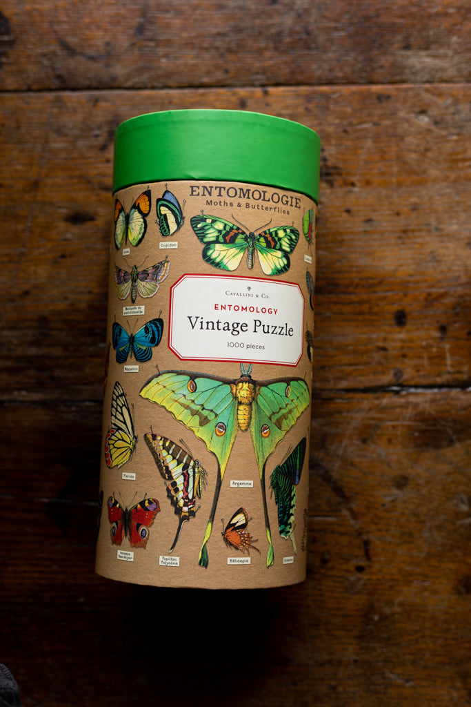 Cavallini - 1000 Pc Puzzle Entomology