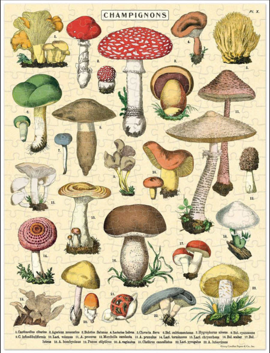Cavallini - Mini 240 Puzzle Mushrooms