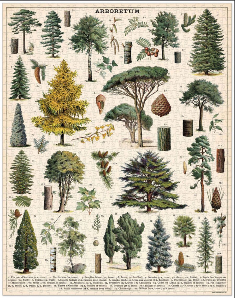 Cavallini - 1000 Pc Puzzle Arboretum
