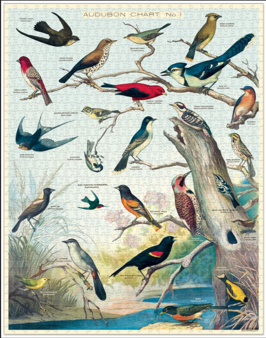 Cavallini - 1000 Pc Puzzle Audubon Birds