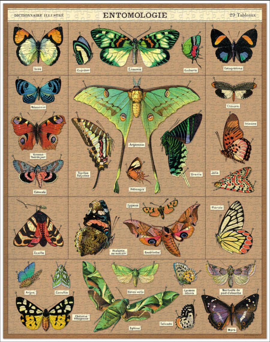 Cavallini - 1000 Pc Puzzle Entomology