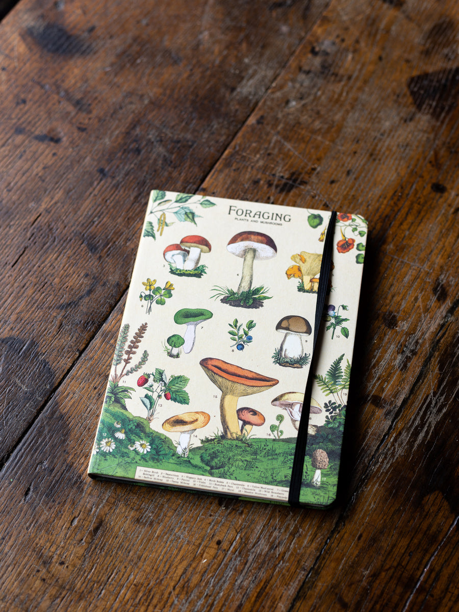 Foraging, Plants & Mushrooms - Notebook